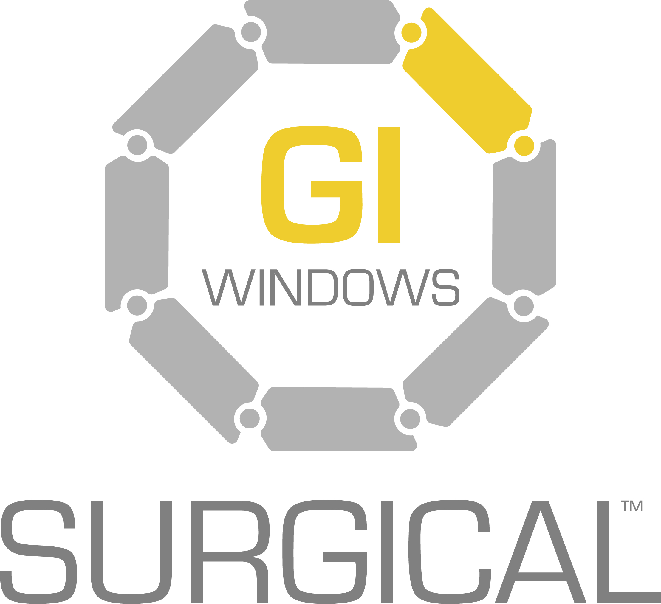 GI_Windows_Logo_550px.jpg